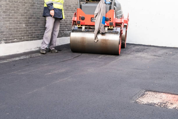 Best Driveway Overlay Services  in Todd Creek, CO